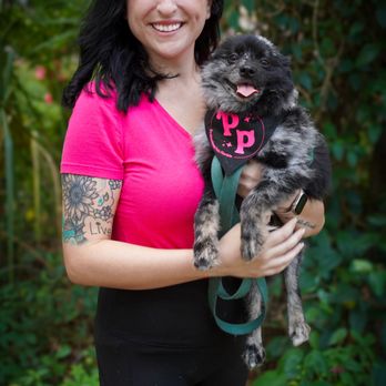 Professional Pets Florida - best pet sitter in brandon near me - Pet Sitting Near Me - Brandon, Florida Professional Pets Florida - best pet sitter in brandon near me - Pet Sitting Near Me - Brandon, Florida