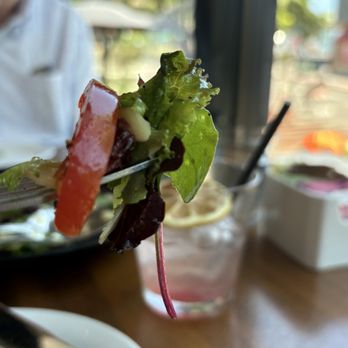 Bencotto Italian Kitchen - The perfect salad bite - Italian Near Me - San Diego, California Bencotto Italian Kitchen - The perfect salad bite - Italian Near Me - San Diego, California