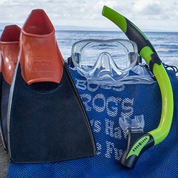 Boss Frog's Snorkel, Bike, & Beach Rentals - Central Kihei