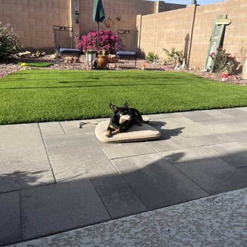 Big Bully Turf - Artificial Turf Near Me - Scottsdale, Arizona Big Bully Turf - Artificial Turf Near Me - Scottsdale, Arizona