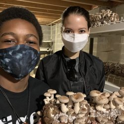 Tiger Mushroom Farms