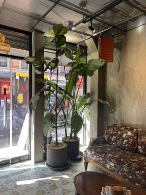 Café Colmado by null