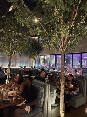 TIMBR - Updated April 2025 - 162 Photos & 64 Reviews - 15 W Las Olas