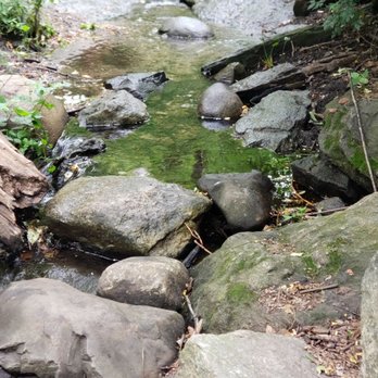 Central Park Conservancy - Parks Near Me - New York, New York