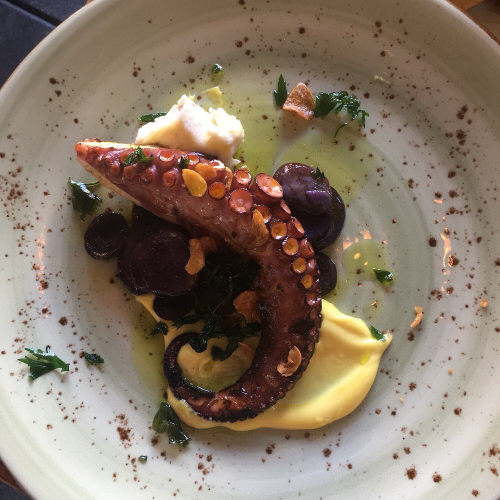 Gypsy Kitchen - The Grilled Spanish Octopus looked beautiful and had ok flavor but came out room temperature and over cooked. - Spanish Near Me - Atlanta, Georgia Gypsy Kitchen - The Grilled Spanish Octopus looked beautiful and had ok flavor but came out room temperature and over cooked. - Spanish Near Me - Atlanta, Georgia