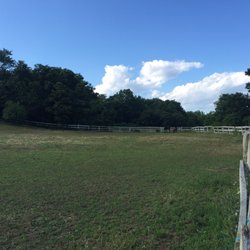 Emerald Creek Farm - Large spacious paddocks
