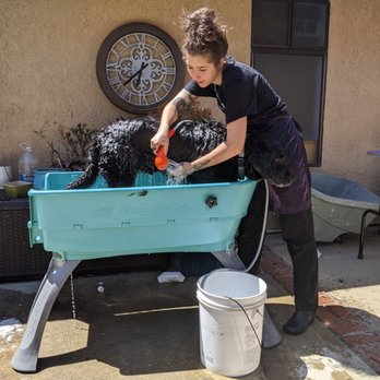 Mystic Mobile Grooming - Fillmore's bath - Pet Groomers Near Me