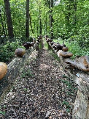 Château de la Bourdaisière by null