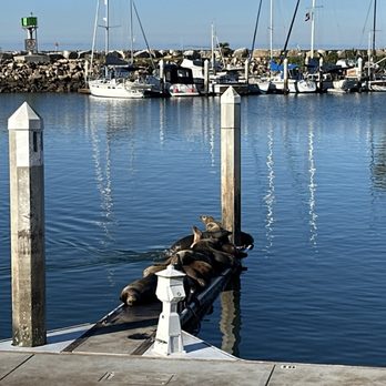 Oceanside Harbor - Boating Near Me - Oceanside, California