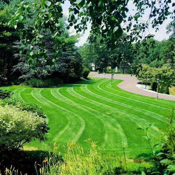 Highwood Landscaping - a view of a lawn - Landscaping Near Me Highwood Landscaping - a view of a lawn - Landscaping Near Me