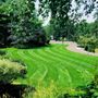 Photo of Highwood Landscaping