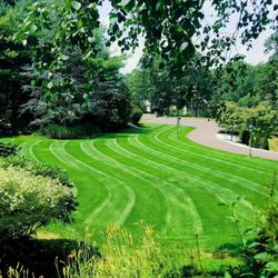 Highwood Landscaping