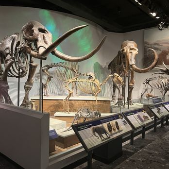 Field Museum - Museums Near Me - Chicago, Illinois