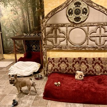 Dog Amore’ Castle - This is his suite - Pet Boarding Near Me Dog Amore’ Castle - This is his suite - Pet Boarding Near Me