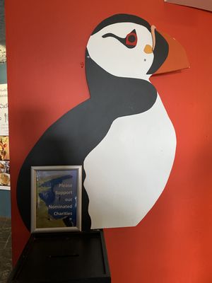 Cliffs of Moher Experience by null