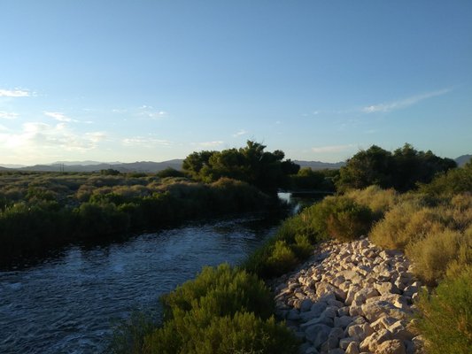 wetlands park bike trail