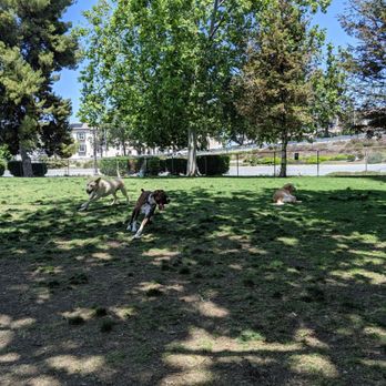 Larry J Marsalli - Dog Parks Near Me - Santa Clara, California