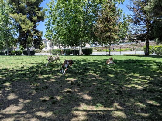 Larry J Marsalli Dog Park