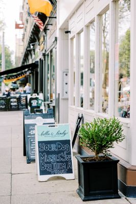 Bella & Lindy Pet Boutique by null