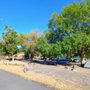 Photo of Spring Canyon Campground