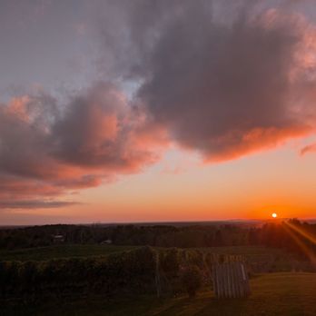 Rove Estate - Wine Tasting Room Near Me - Traverse City, Michigan Rove Estate - Wine Tasting Room Near Me - Traverse City, Michigan