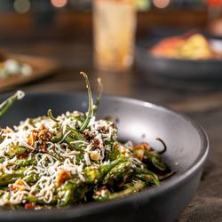 Reforma - BLISTERED SHISHITOS
Chimichurri, Salsa Macha,
Cotija Cheese, Lemon