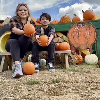 マラカス ハーレムカンポ　Harlem Campos Corn Maze Grand Rapids, MI | Family Fall Activites | U-Pick Pumpkins