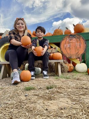 マラカス ハーレムカンポ　Harlem Campos マラカス ハーレムカンポ Harlem Campos