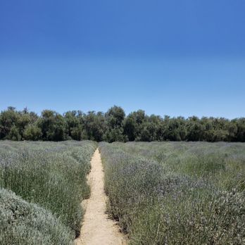 123 Farm - Farmers Market Near Me - Cherry Valley, California