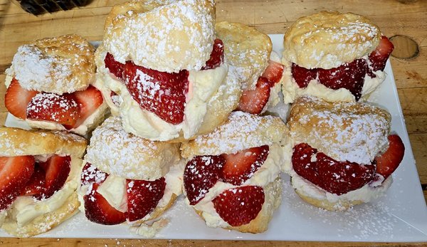 The Manor on Van Horn Estate by null