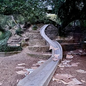 Codornices Park - 01.17.2025 - Parks Near Me - Berkeley, California Codornices Park - 01.17.2025 - Parks Near Me - Berkeley, California