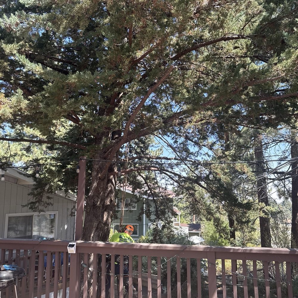 ACL Tree Works - Tree Services Near Me - Crestline, California ACL Tree Works - Tree Services Near Me - Crestline, California