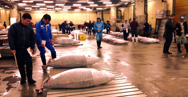 Tsukiji Cooking by null