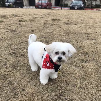 Furry Tails - Pet Boarding Near Me - Dallas, Texas Furry Tails - Pet Boarding Near Me - Dallas, Texas