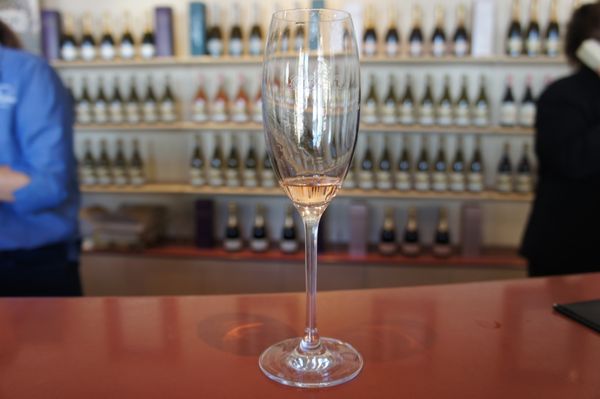 Pipers Brook Vineyard by null