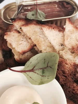 Star of Greece by null