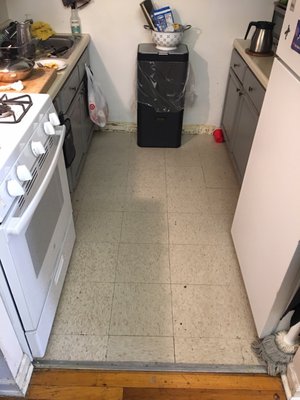 Raskin Carpets by null