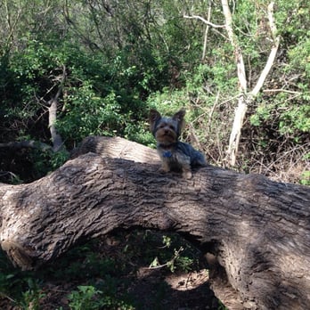 Sycamore Canyon Campground - Parks Near Me - Malibu, California Sycamore Canyon Campground - Parks Near Me - Malibu, California