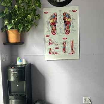 Tea Tree Foot Spa - Know your points! - Reflexology Near Me - Franklin Square, New York Tea Tree Foot Spa - Know your points! - Reflexology Near Me - Franklin Square, New York