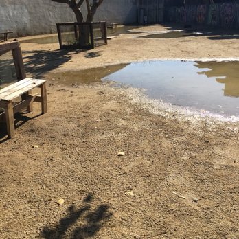 Arts District Dog Park - The park was totally flooded. It was so muddy and the puddles were so big, my dog couldn't even get through the entrance gate. - Dog Parks Near Me - Los Angeles, California Arts District Dog Park - The park was totally flooded. It was so muddy and the puddles were so big, my dog couldn't even get through the entrance gate. - Dog Parks Near Me - Los Angeles, California