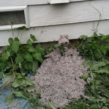 StarDucts - Heating & Air Conditioning/HVAC Near Me - Seattle, Washington