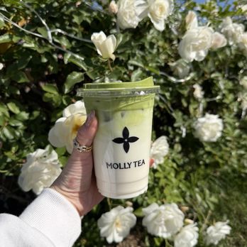 Molly Tea - Premium Jasmine Matcha Milk Tea - Bubble Tea Near Me - San Gabriel, California Molly Tea - Premium Jasmine Matcha Milk Tea - Bubble Tea Near Me - San Gabriel, California