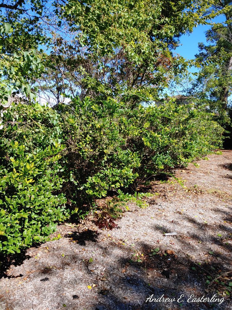 Slide of Easterling Services