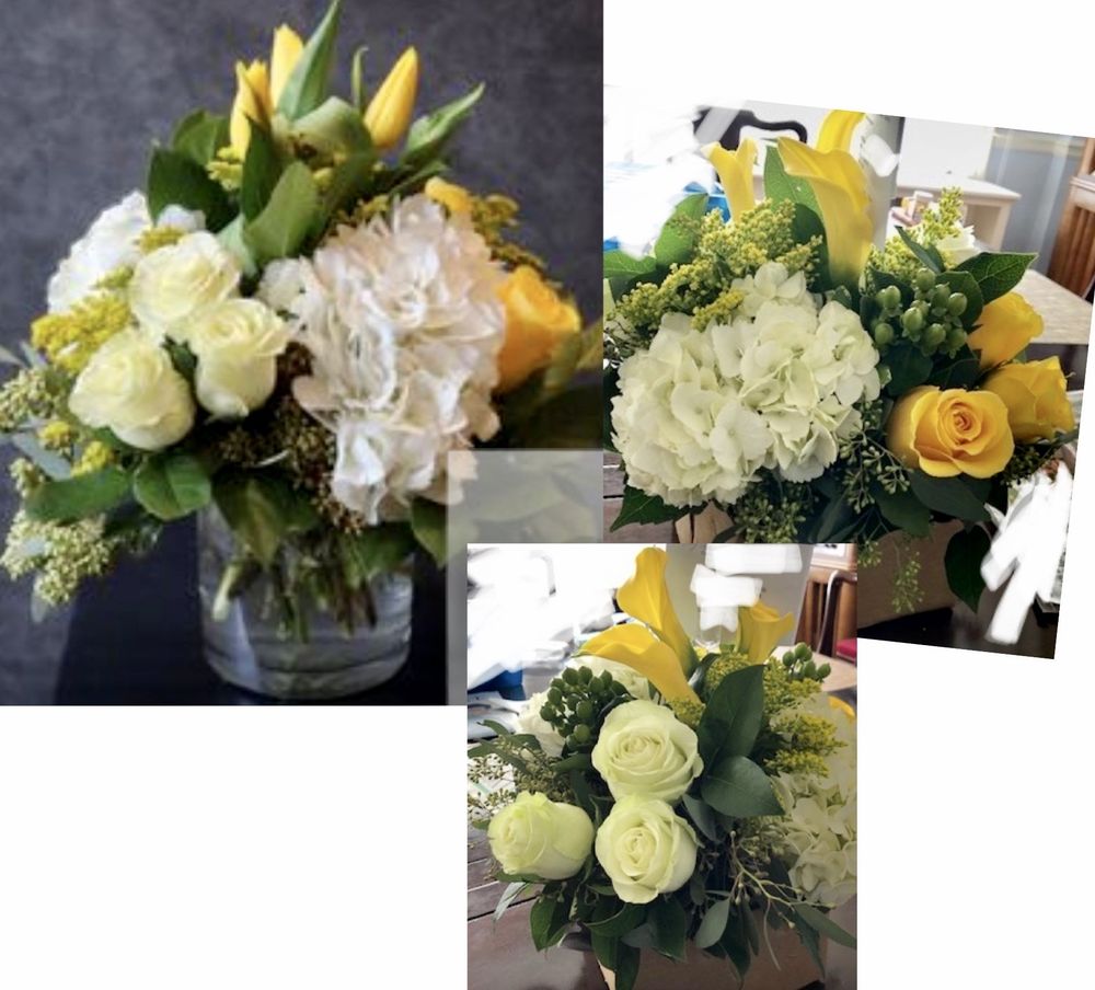 CHEVY CHASE FLORIST 36 Photos & 35 Reviews 7 Wisconsin Cir