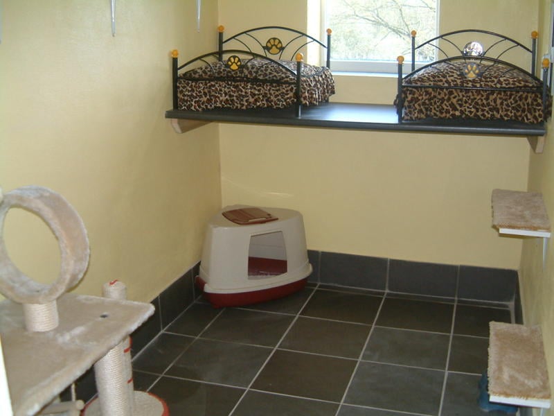 LANCHESTER PET RESORT Updated July 2024 The Firs, Durham, United