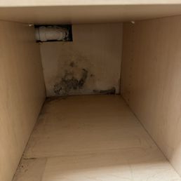 Black mold cupboard Black mold cupboard