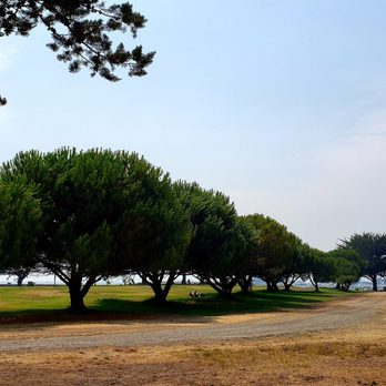 Alameda Beach - Beaches Near Me - Alameda, California Alameda Beach - Beaches Near Me - Alameda, California