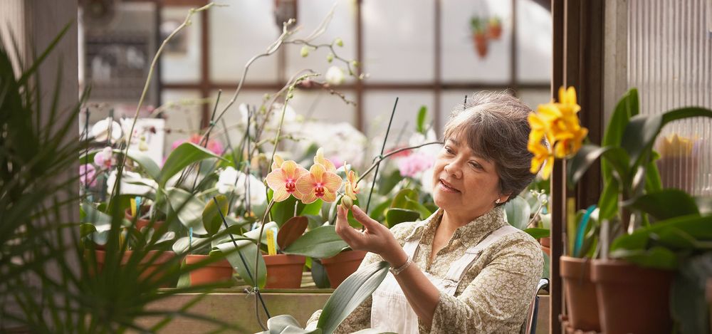 Harper Davis Home Care - home care agency in Philadelphia, PA