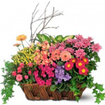 Rose Flower Shop - Florists Near Me - Grand Forks, North Dakota Rose Flower Shop - Florists Near Me - Grand Forks, North Dakota