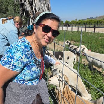 Old Grove Farms - BaaaaaaaaaH - Attraction Farms Near Me - Redlands, California Old Grove Farms - BaaaaaaaaaH - Attraction Farms Near Me - Redlands, California